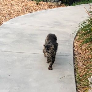 Meet your Posher, Olga